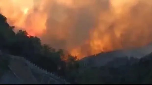 山火SOS，“十八般武艺”的TA们请求出战