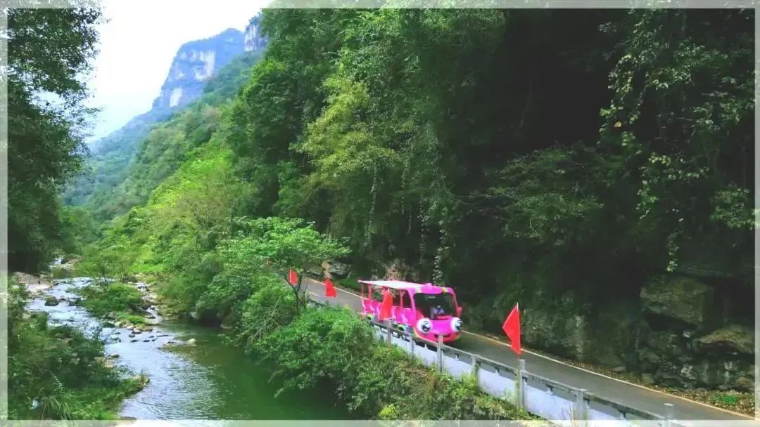 rb88随行版观光车“金鱼宝宝”，为三峡大瀑布打赢“景区升级战”！