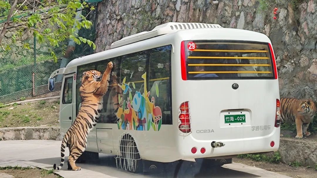 2024年“五一”假期旅游数据出炉，旅游市场呈现新趋势！