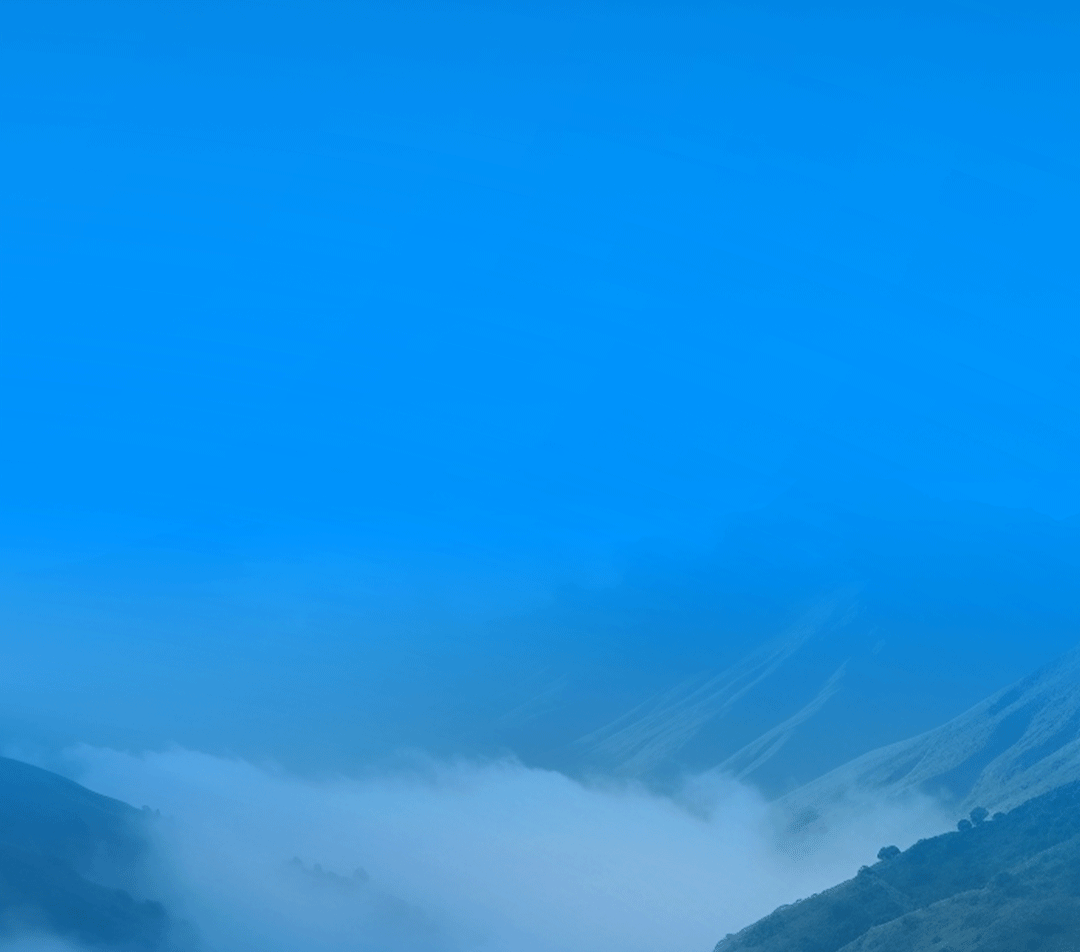 3月28日，rb88随行版有一个重大决定