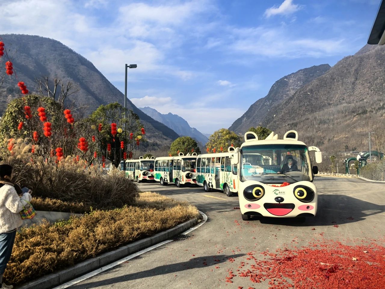 2025年景区交通该往哪儿发力？rb88随行版观光车助力打造景区交通运营新“范式”